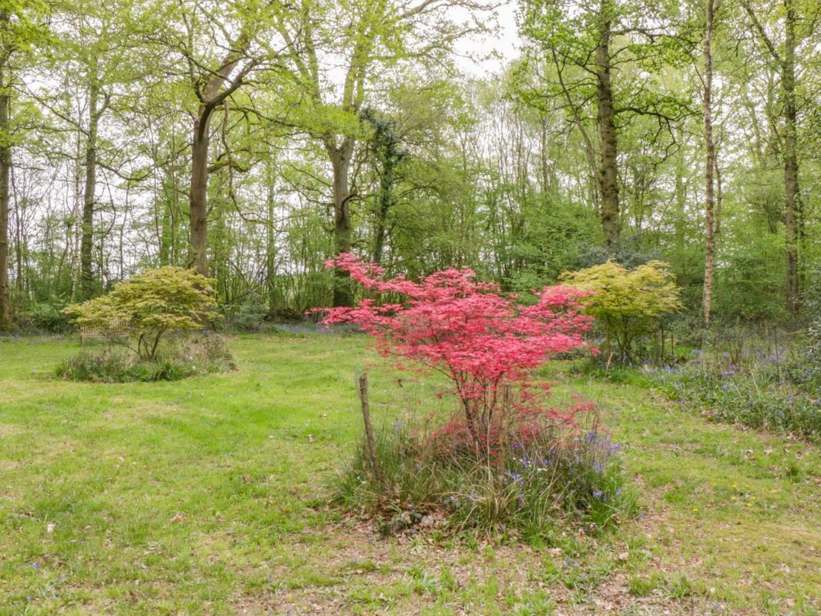 Bush Farm Annexe Villa Warminster Buitenkant foto